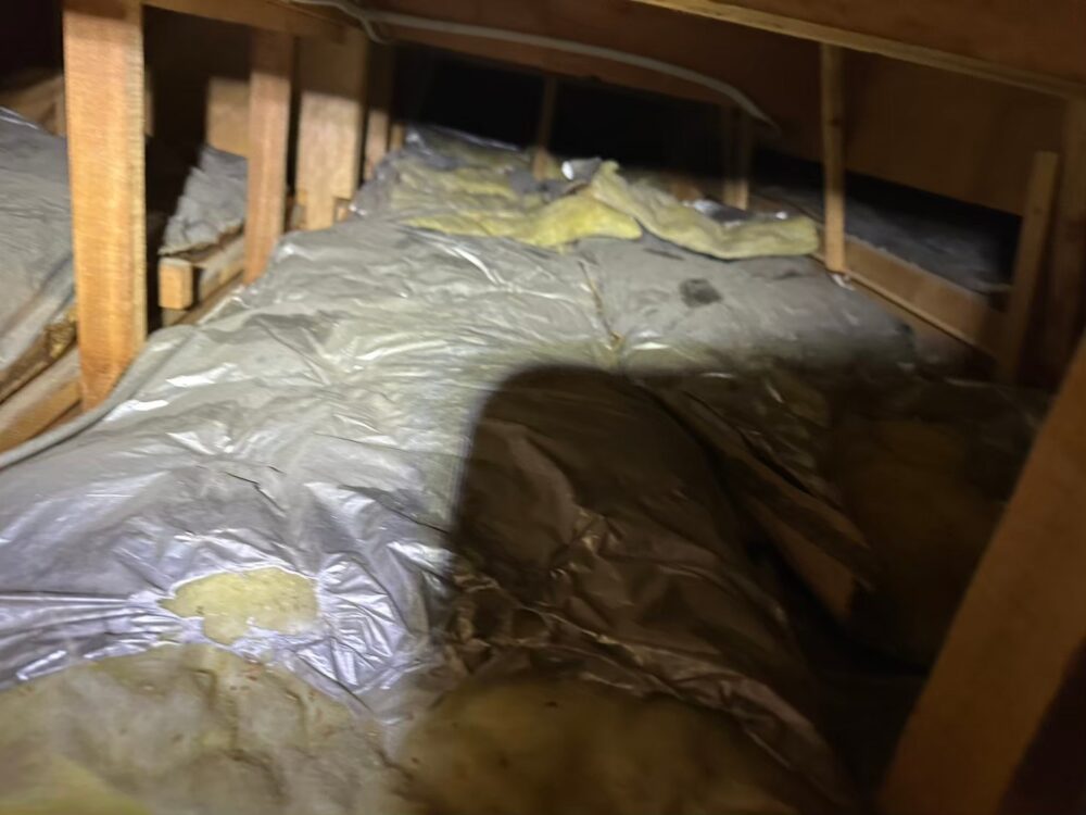 福岡県大野城市　イタチによる被害　M様邸　駆除実績