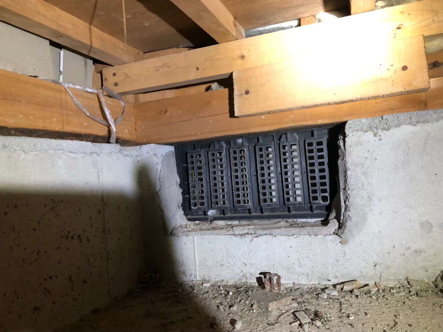 佐賀県唐津市　アライグマによる被害　N様邸　駆除実績