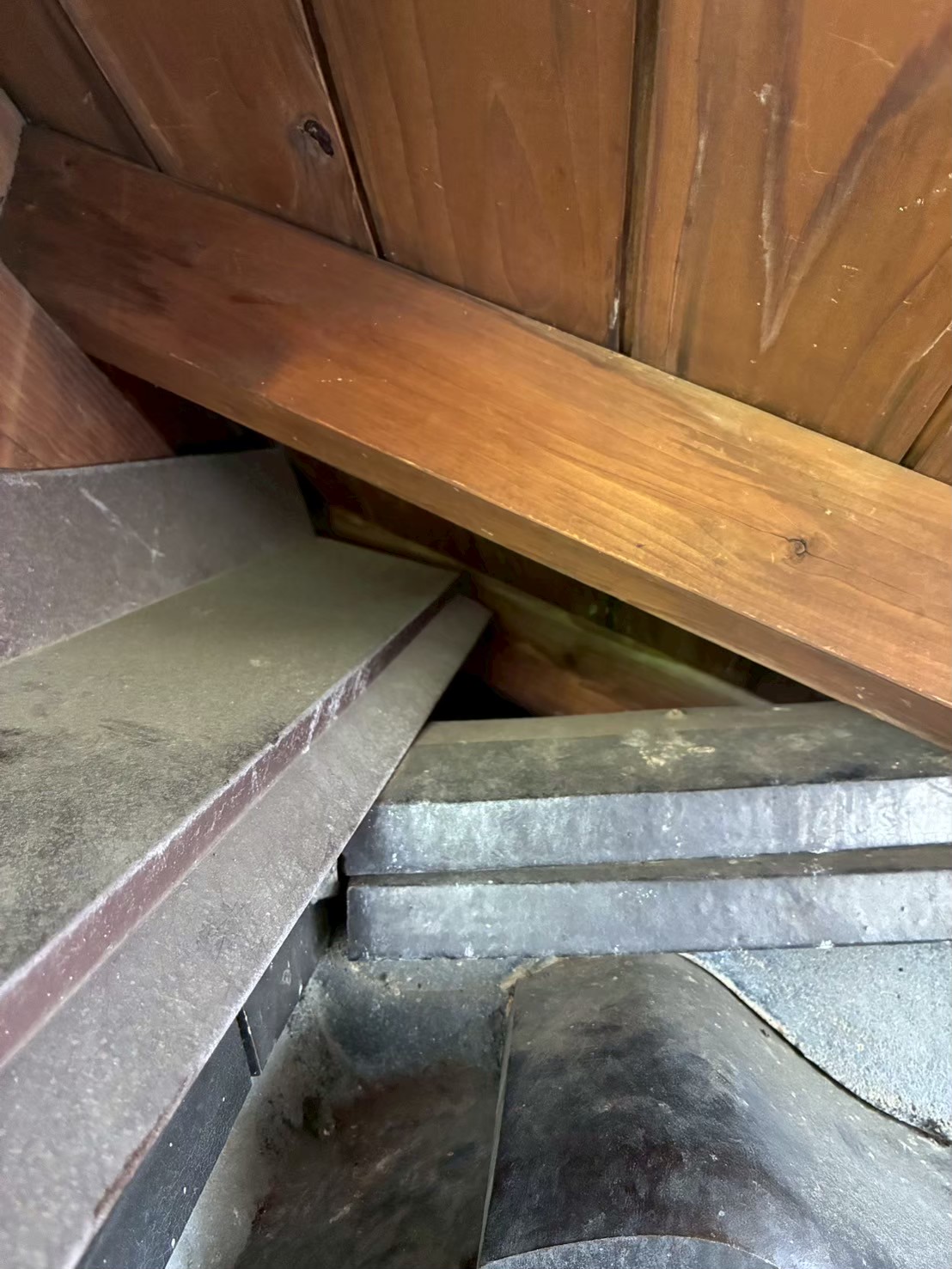 福岡県大野城市　アライグマによる被害　S様邸　駆除実績