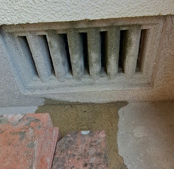 福岡県北九州市　ネズミによる被害　Y様邸　駆除実績