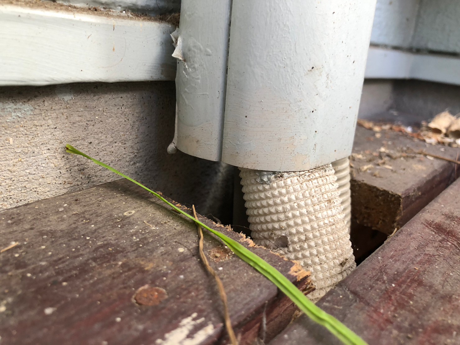 福岡県久留米市　ネズミによる被害　G様邸　駆除実績