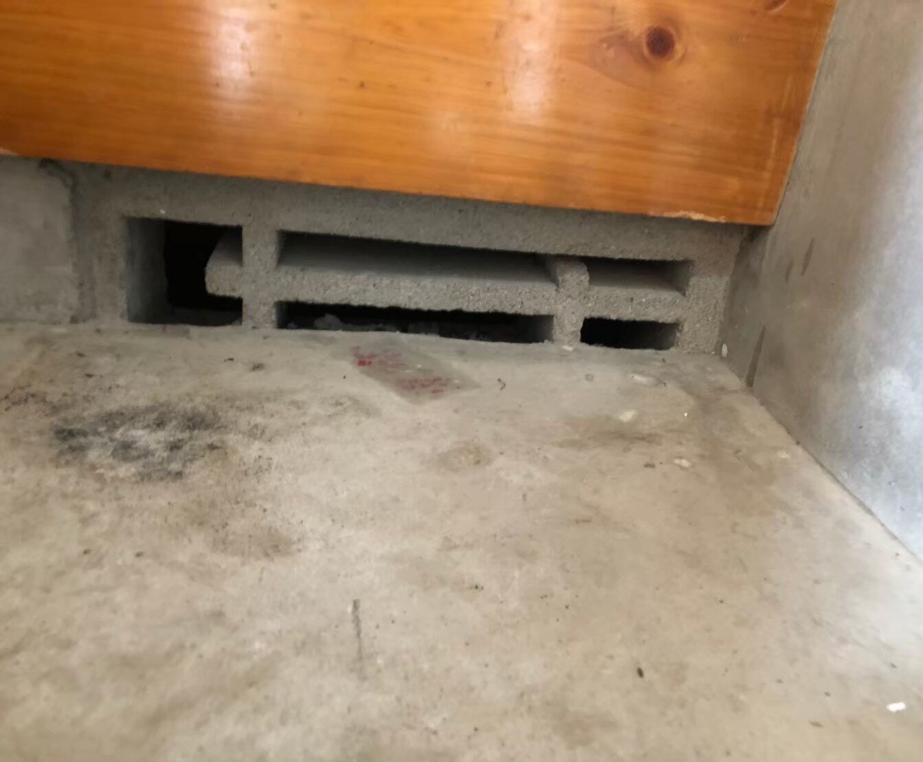 ネズミによる被害　A様邸　駆除実績