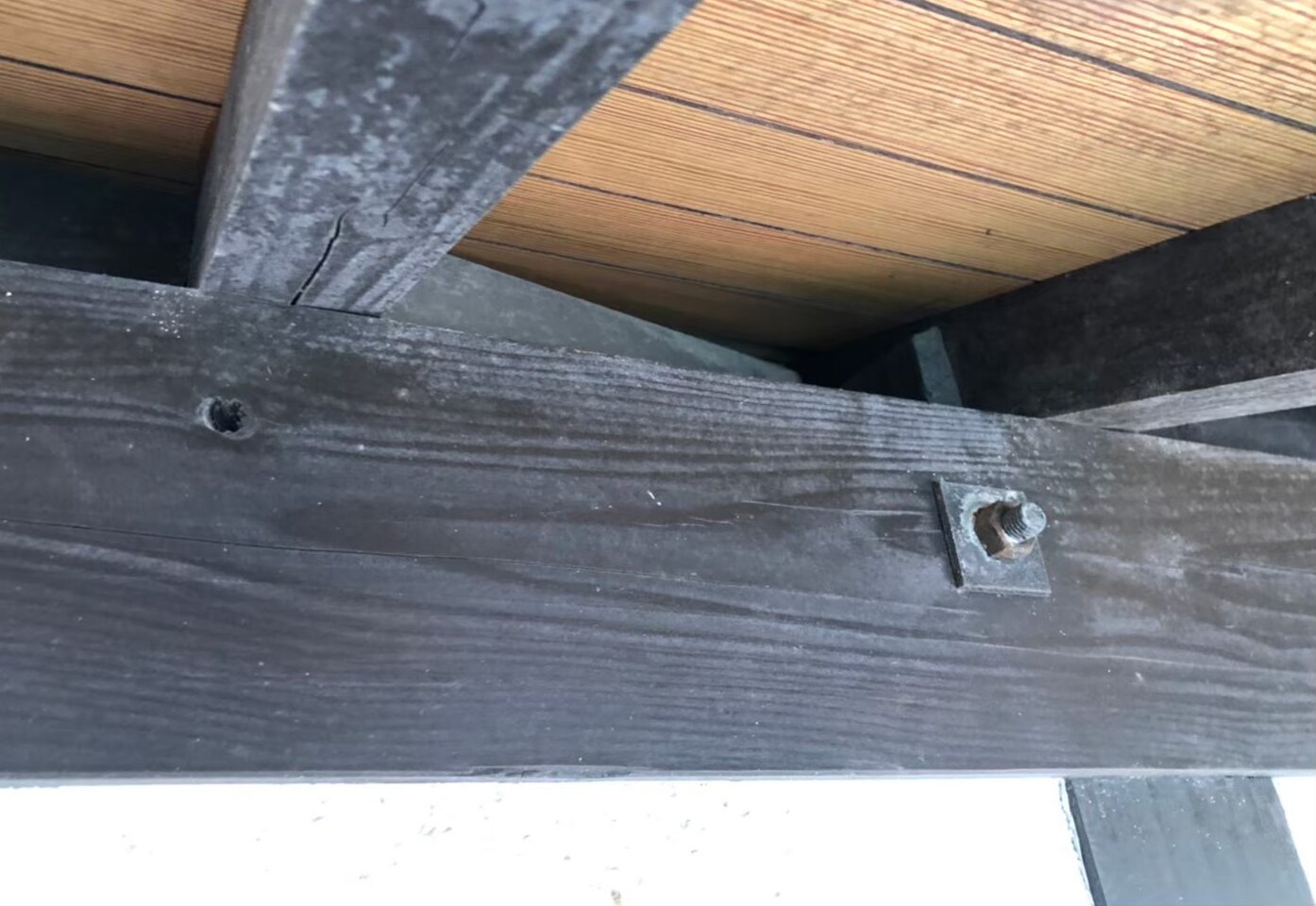 ネズミによる被害　M様邸　駆除実績