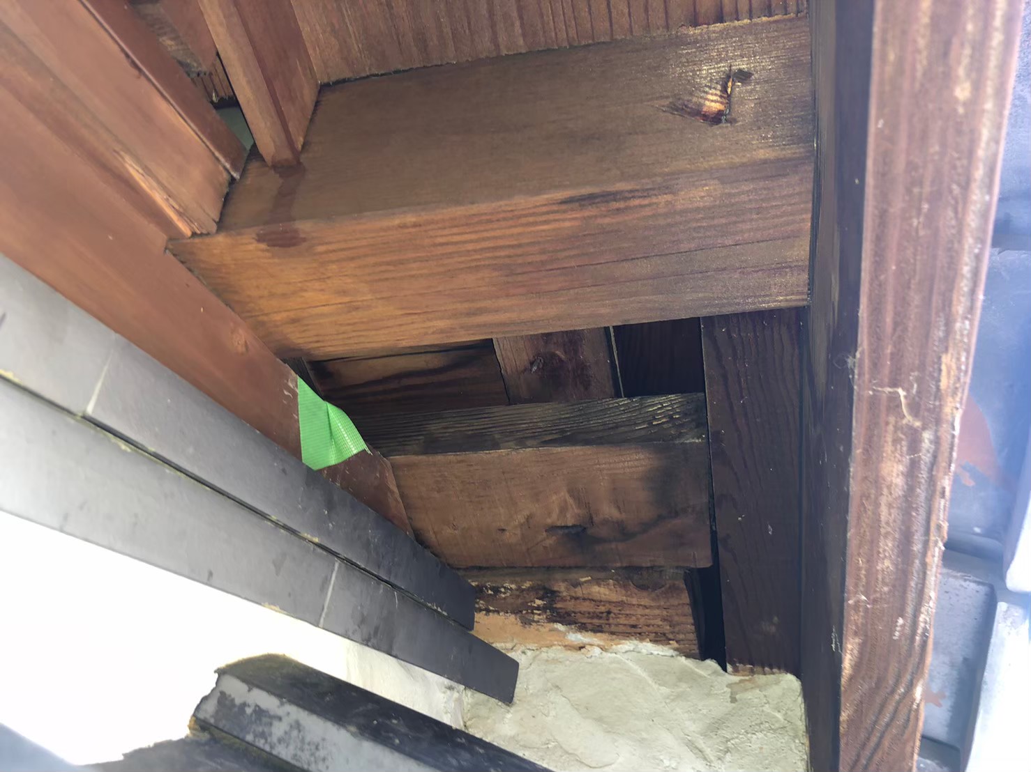 佐賀県鳥栖市　アライグマによる被害　Y様邸　駆除実績