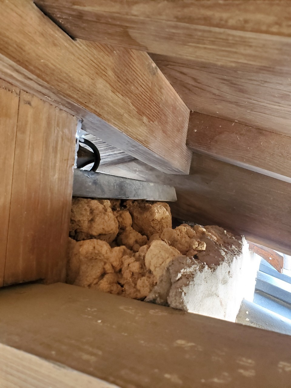 佐賀県鹿島市　アライグマによる被害　I様邸　駆除実績