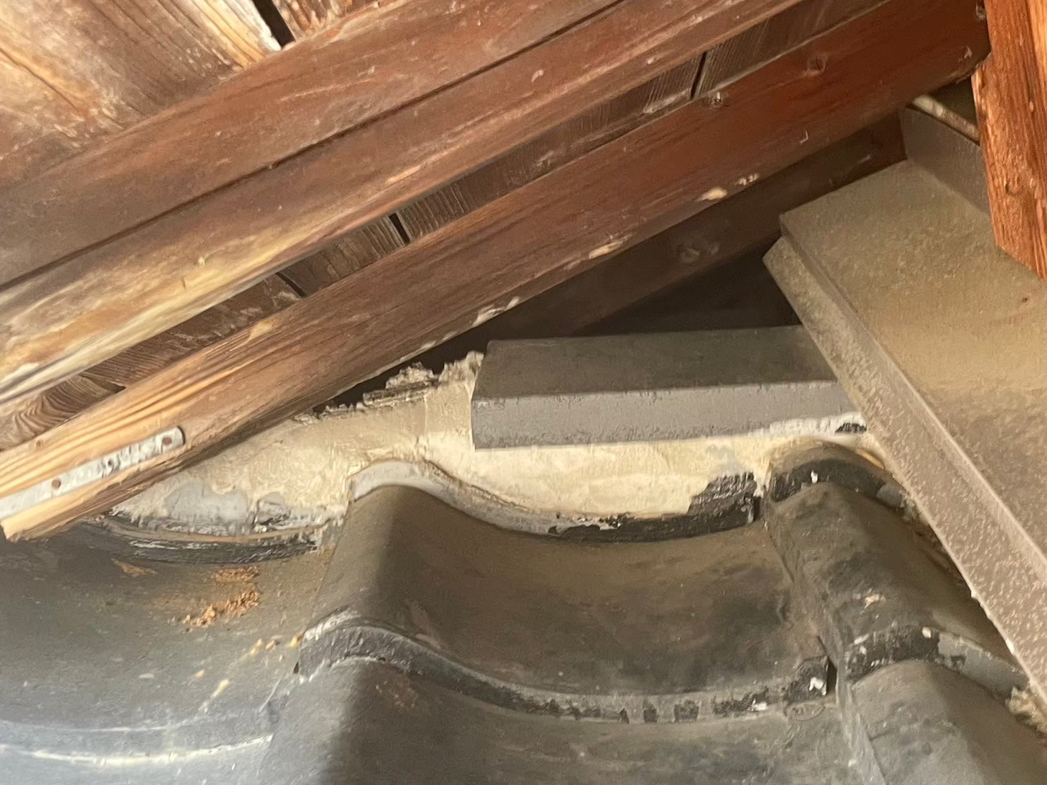 福岡県久留米市　ネズミによる被害　G様邸　駆除実績