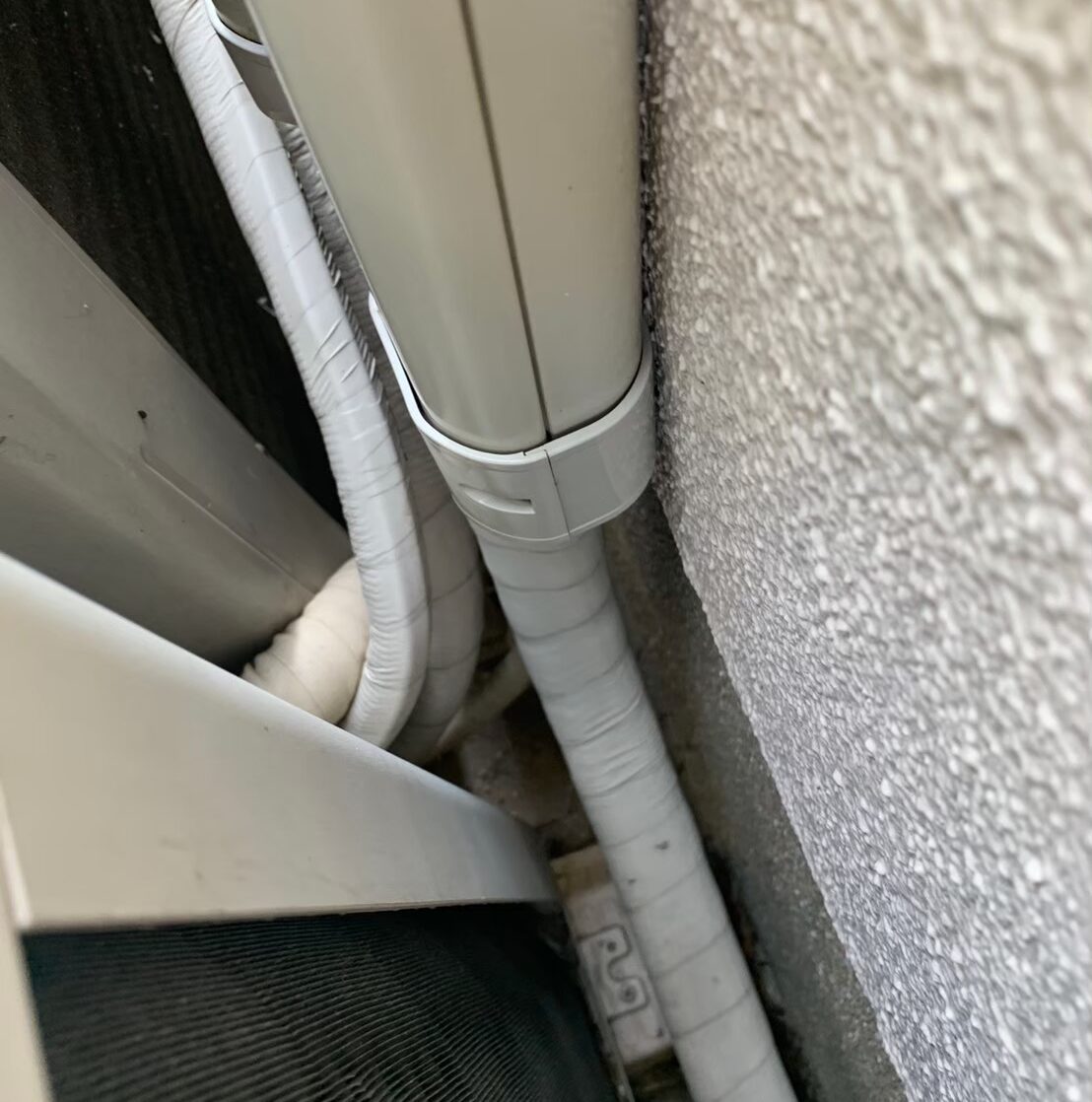 コウモリによる被害　医療施設K　N様　駆除実績