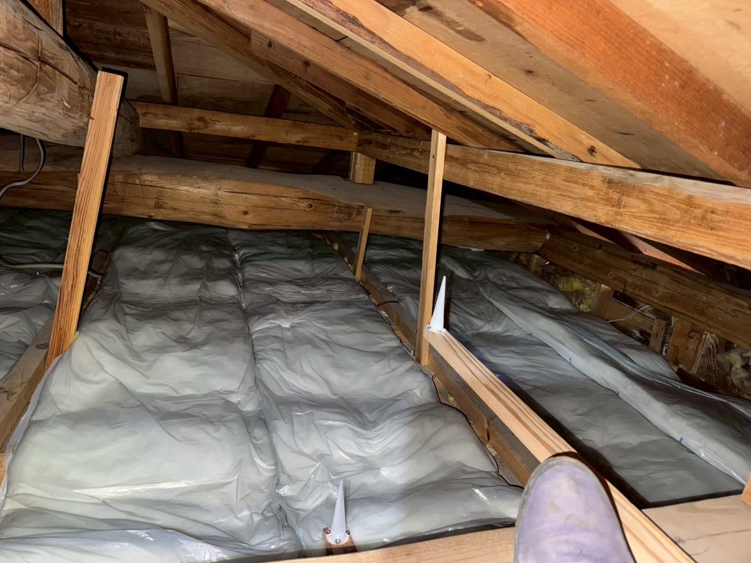 福岡県北九州市　イタチによる被害　E様邸　駆除実績