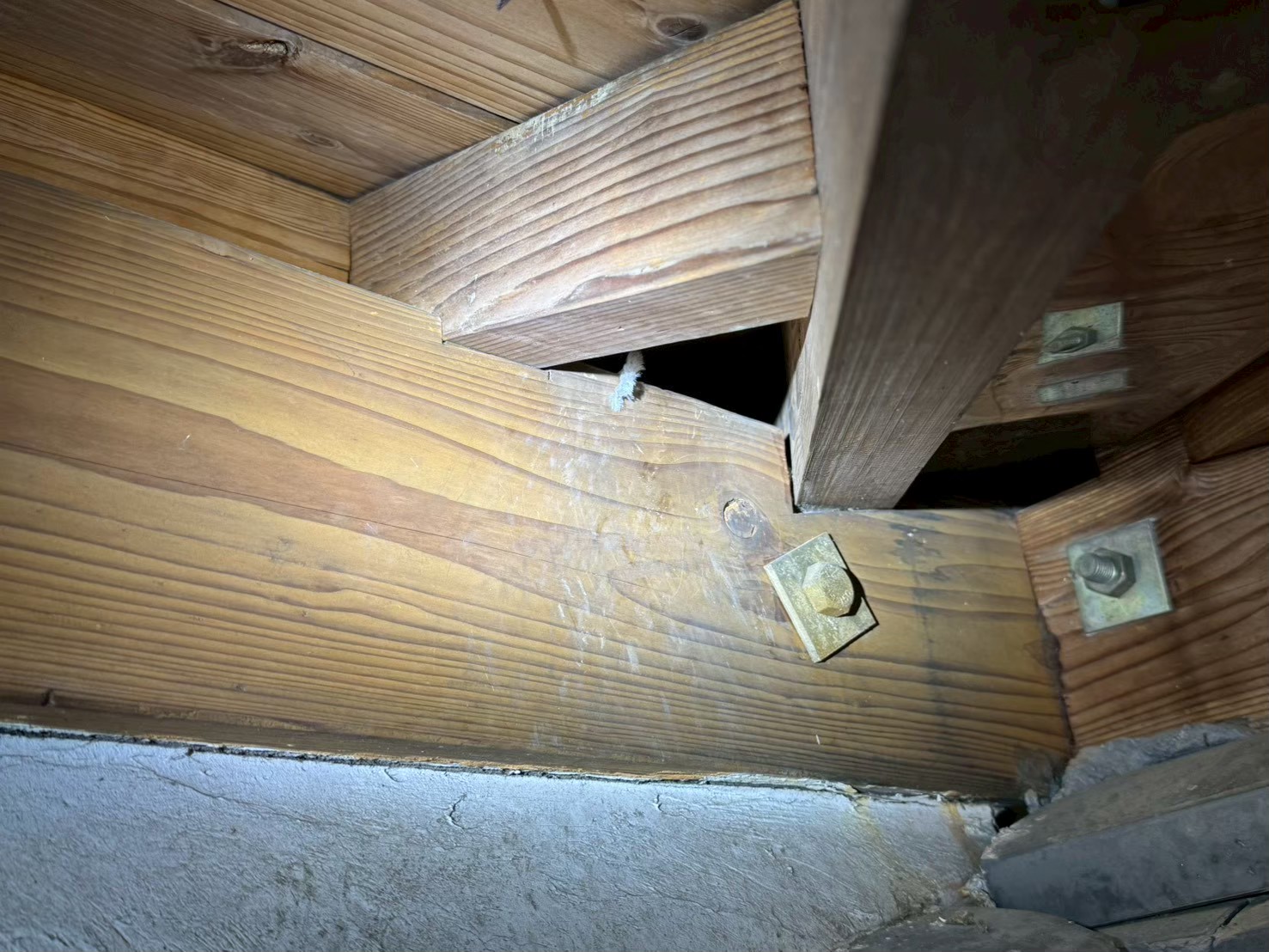 佐賀県鹿島市　ネズミによる被害　K様邸　駆除実績