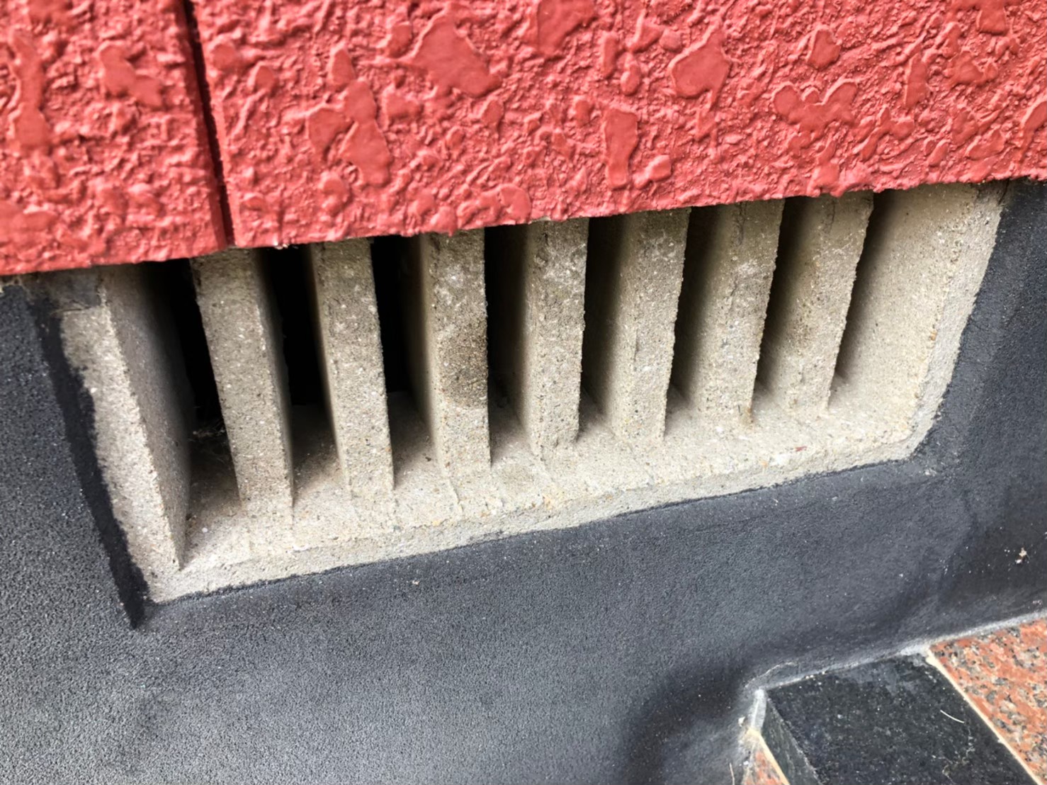 ネズミによる被害　N様邸　駆除実績