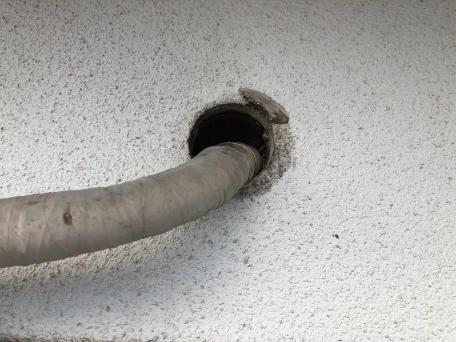 ネズミによる被害　N様邸　駆除実績