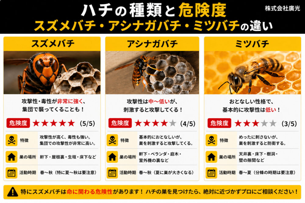 ハチの種類と危険度｜スズメバチ・アシナガバチ・ミツバチの違い
