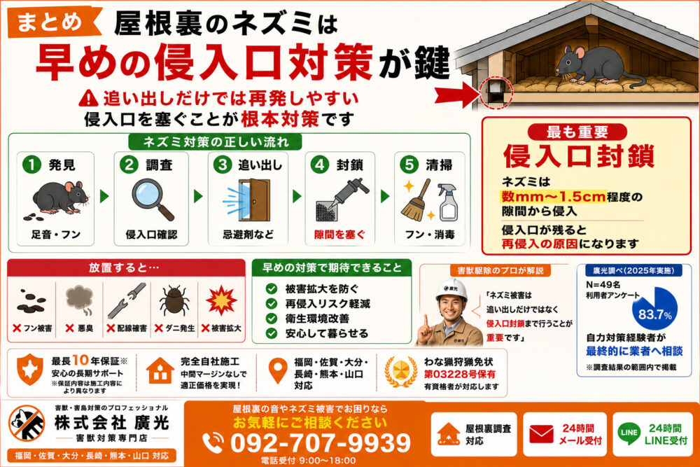 屋根裏のネズミ駆除まとめ