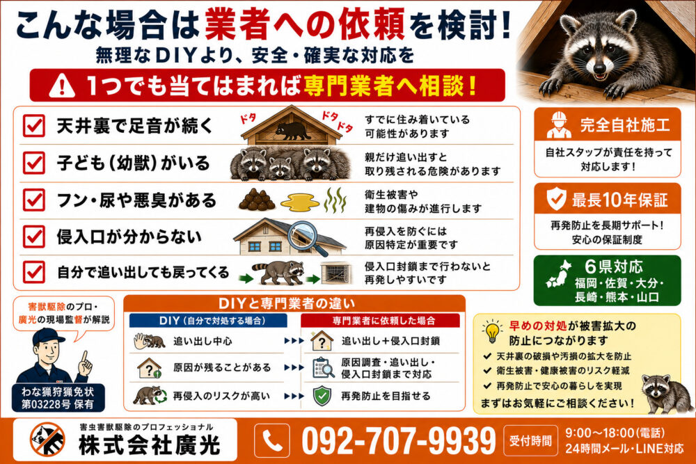 アライグマ駆除を業者に依頼すべきケース