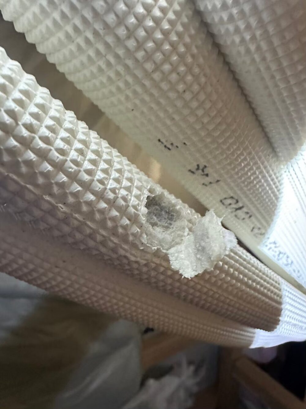 佐賀県小城市　イタチによる被害　U様邸　駆除実績