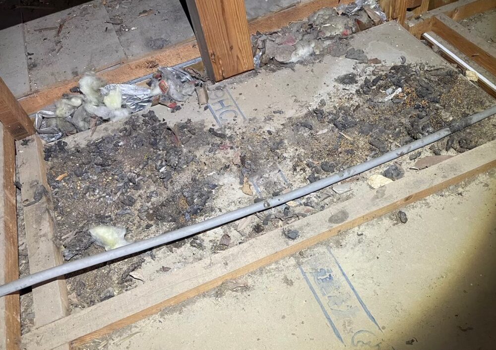 福岡県糟屋郡篠栗町　イタチによる被害　O様邸　駆除実績