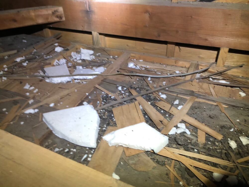 福岡県うきは市　アライグマによる被害　T様邸　駆除実績