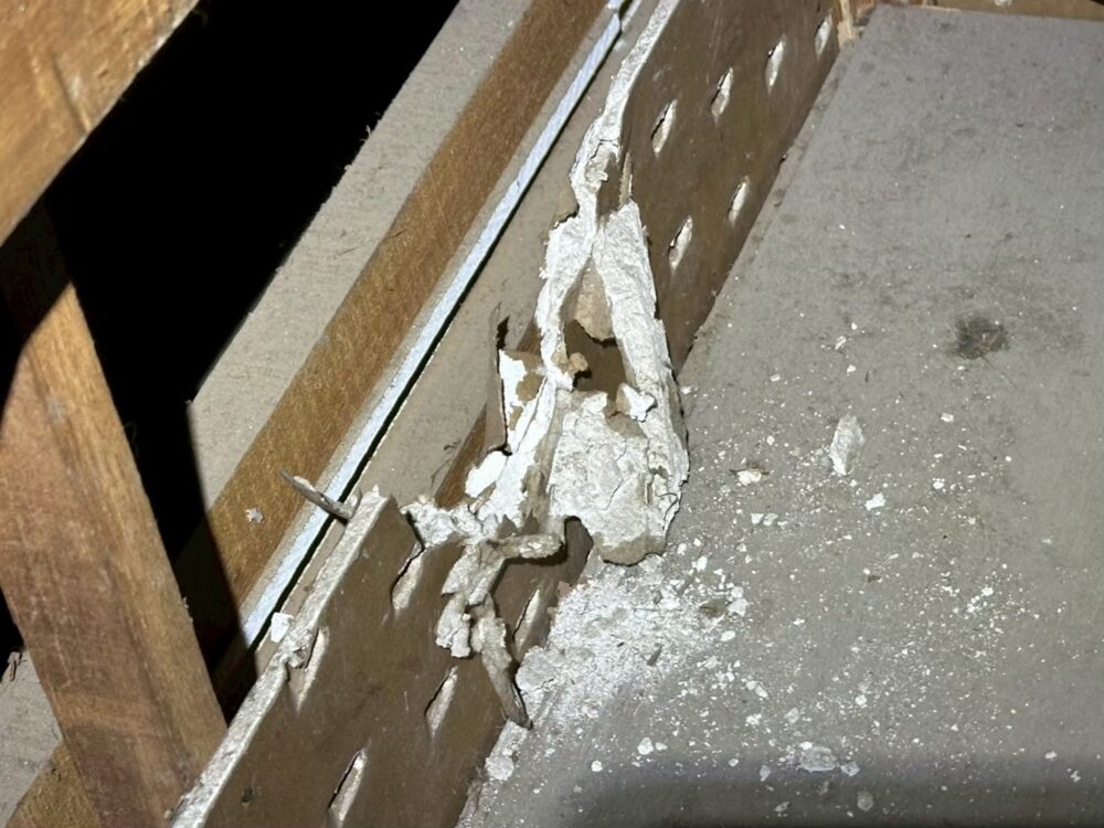 佐賀県唐津市　イタチによる被害　Y様邸　駆除実績