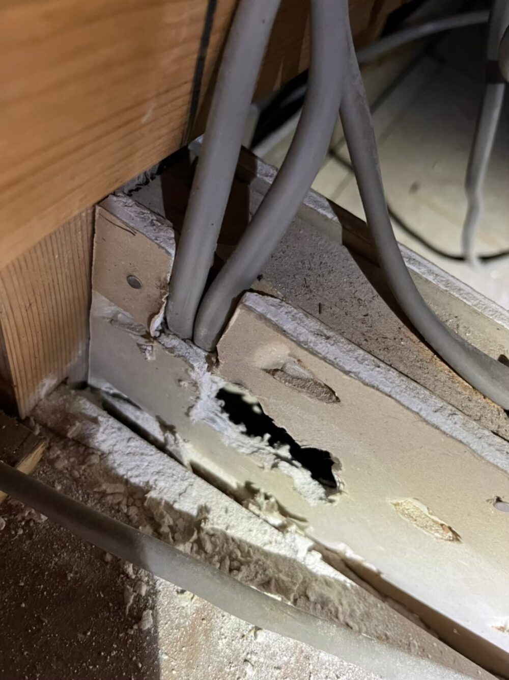 佐賀県鳥栖市　ネズミによる被害　F様　駆除実績