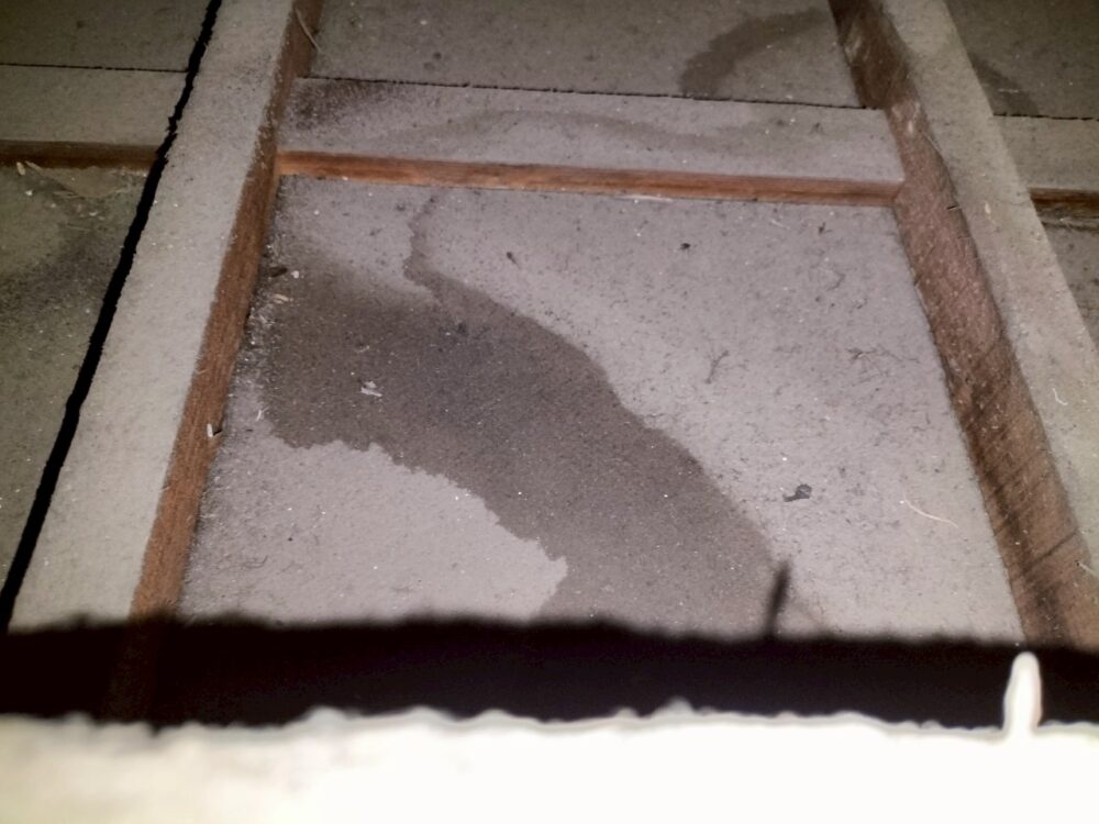 佐賀県鳥栖市　アライグマによる被害　H様邸　駆除実績