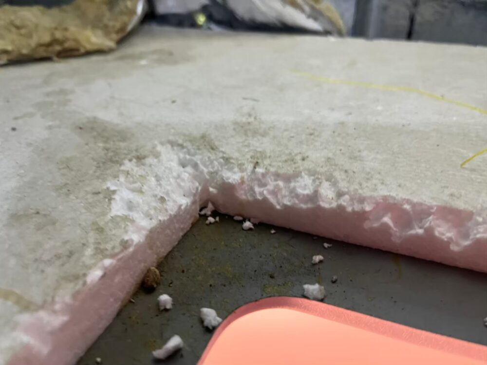 福岡県春日市　ネズミによる被害　N様邸　駆除実績