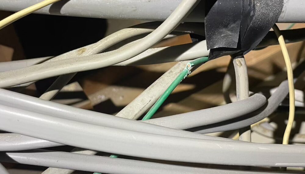 佐賀県小城市　イタチによる被害　N様邸　駆除実績