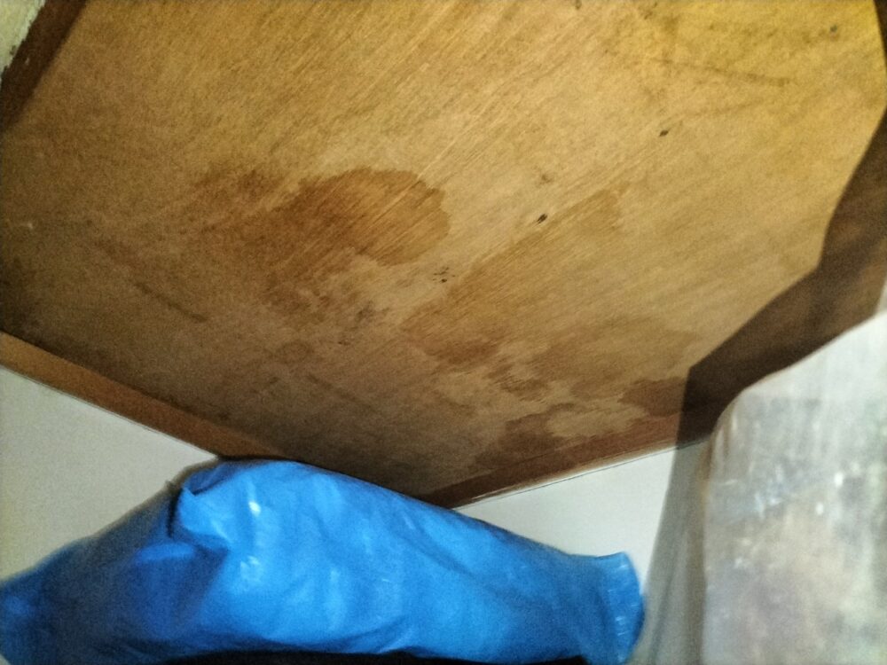 福岡県八女市　イタチによる被害　K様邸　駆除実績