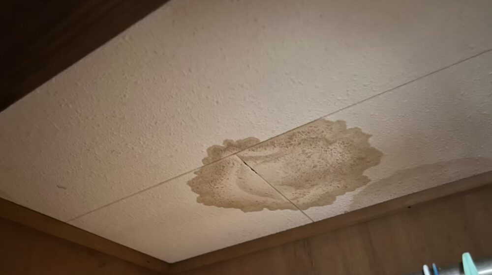 佐賀県伊万里市　アライグマによる被害　K様邸　駆除実績