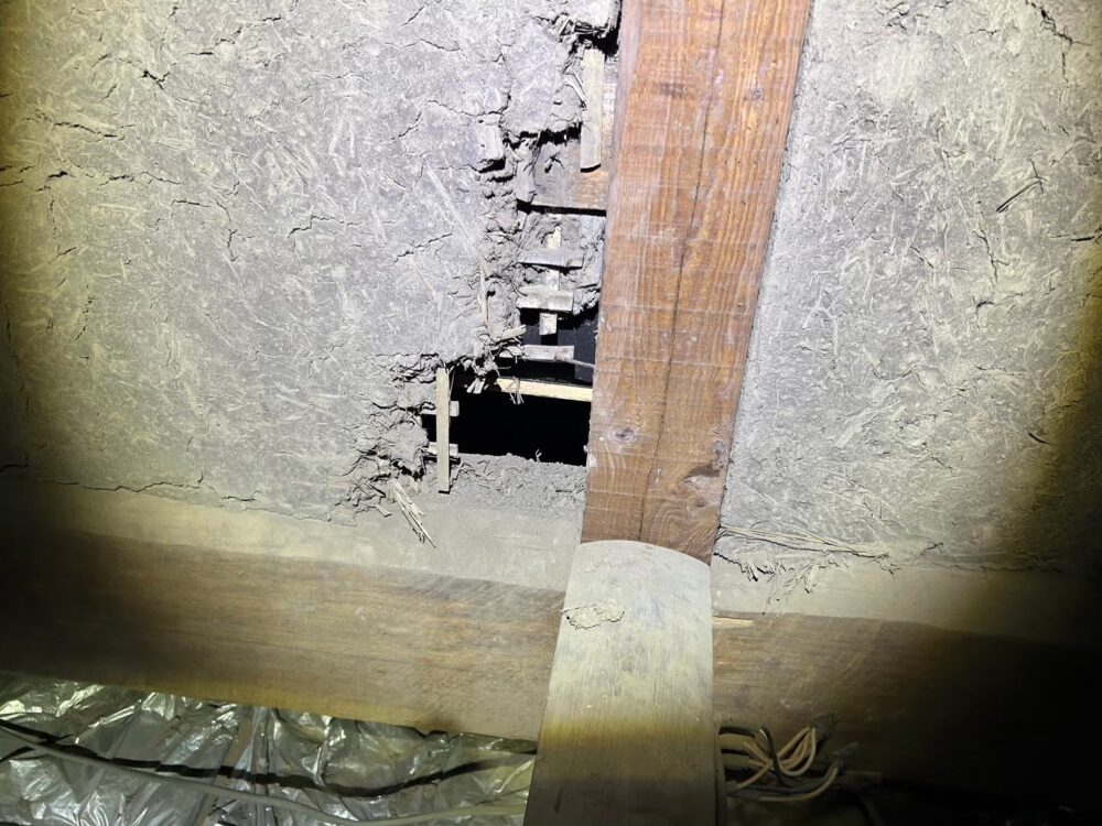 佐賀県佐賀市　アライグマによる被害　T様邸　駆除実績