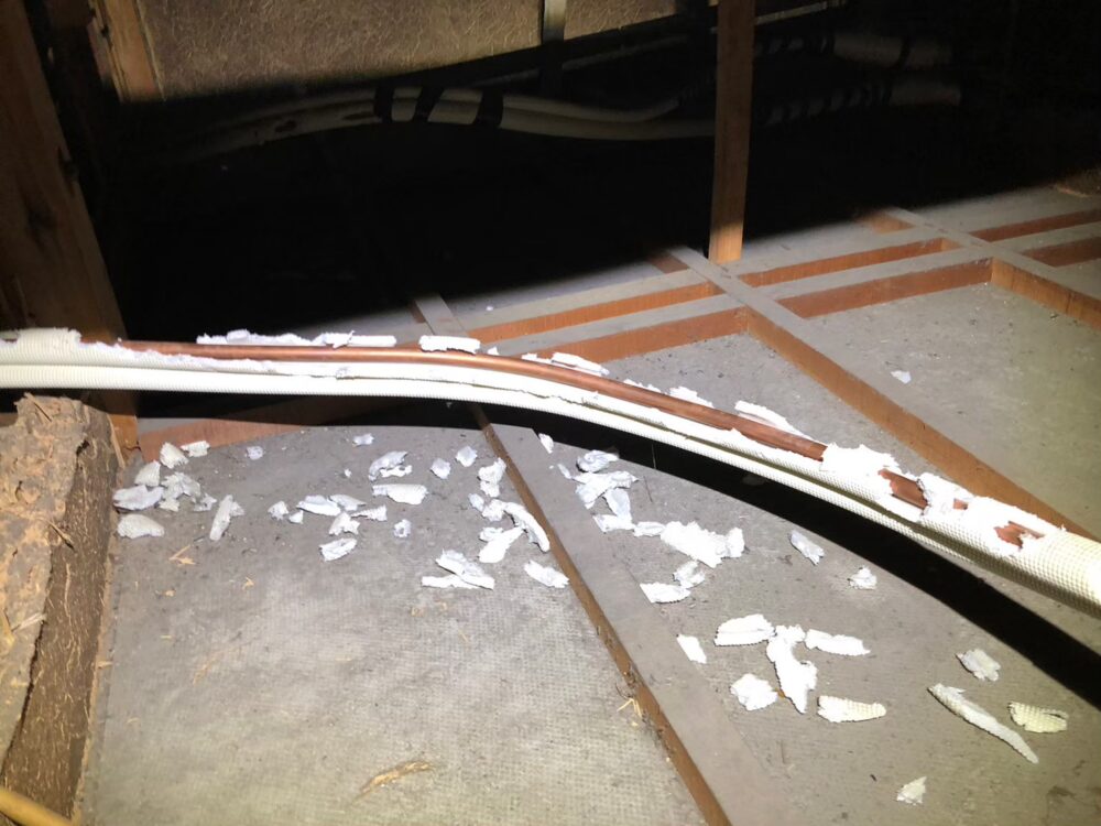 福岡県糟屋郡篠栗町　ネズミによる被害　K様邸　駆除実績