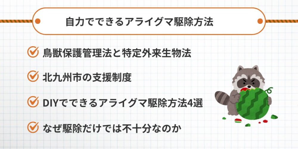 自力でできるアライグマ駆除方法