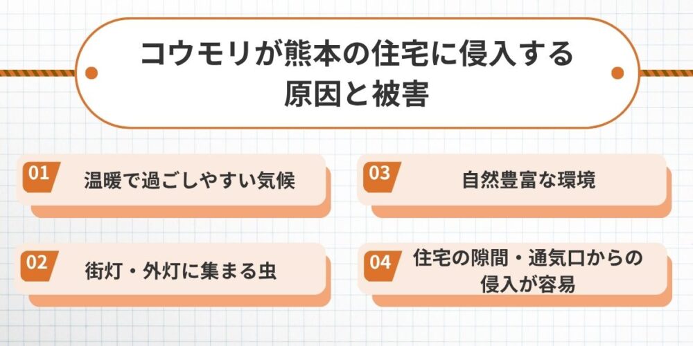 熊本でコウモリが住宅に侵入する原因と被害