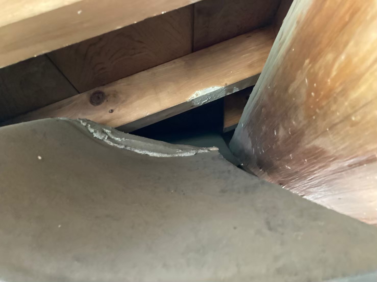 ハクビシンによる被害　M様邸　駆除実績