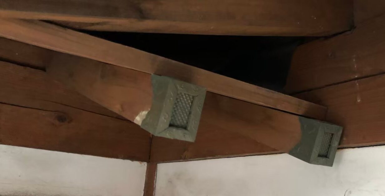 アライグマによる被害　M様邸　駆除実績