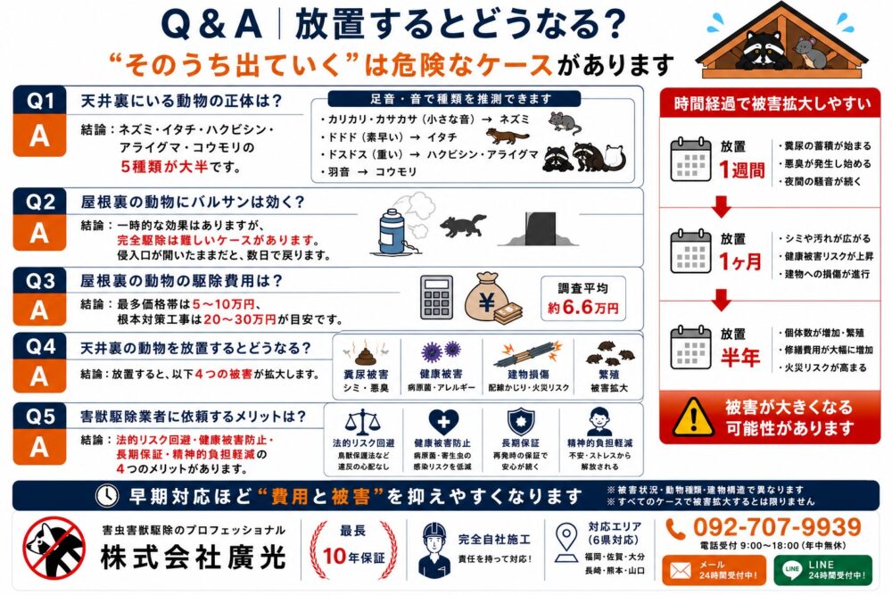 天井裏と屋根裏の動物に関するよくある質問と回答