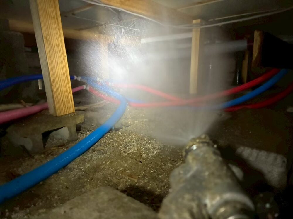 佐賀県伊万里市　シロアリ(白蟻)による被害　K様邸　駆除実績