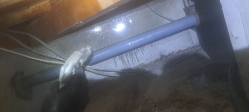 佐賀県東松浦郡玄海町　シロアリ(白蟻）による被害　W様邸　駆除実績