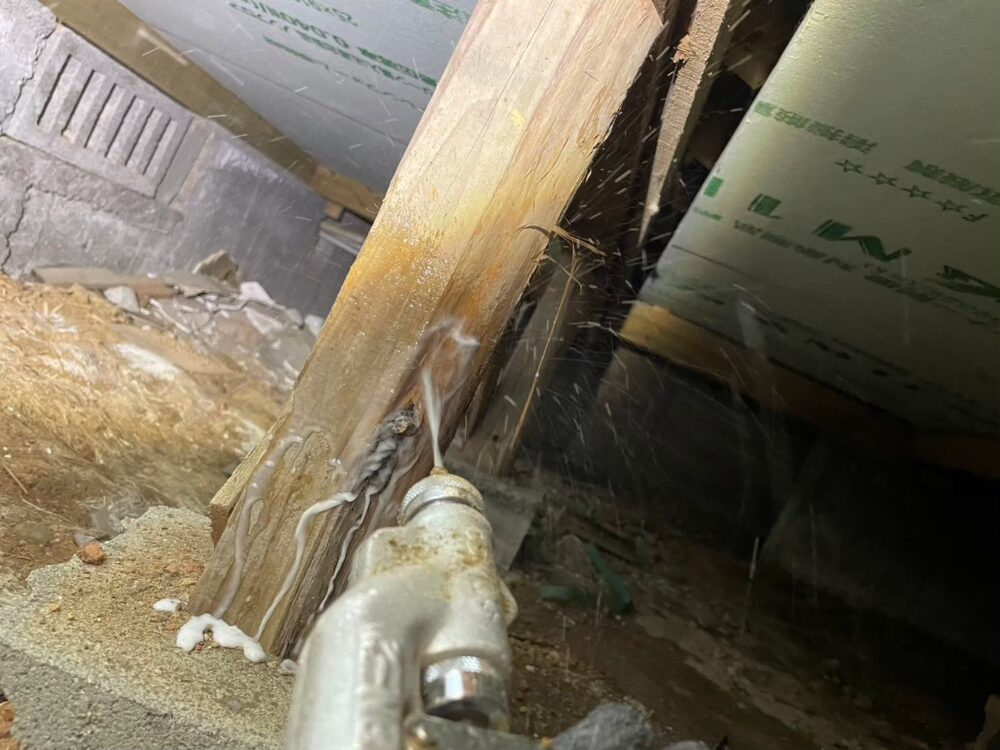 福岡県飯塚市　シロアリ(白蟻）による被害　E様邸　駆除実績