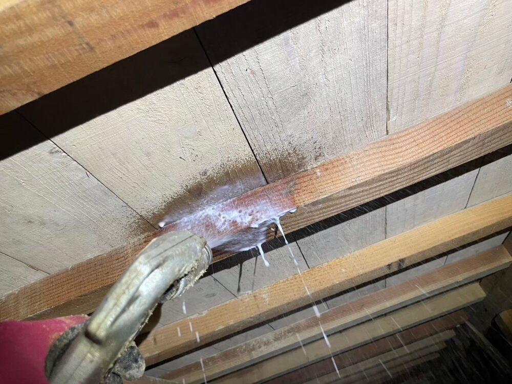 福岡県古賀市　シロアリ(白蟻）による被害　T様邸　駆除実績