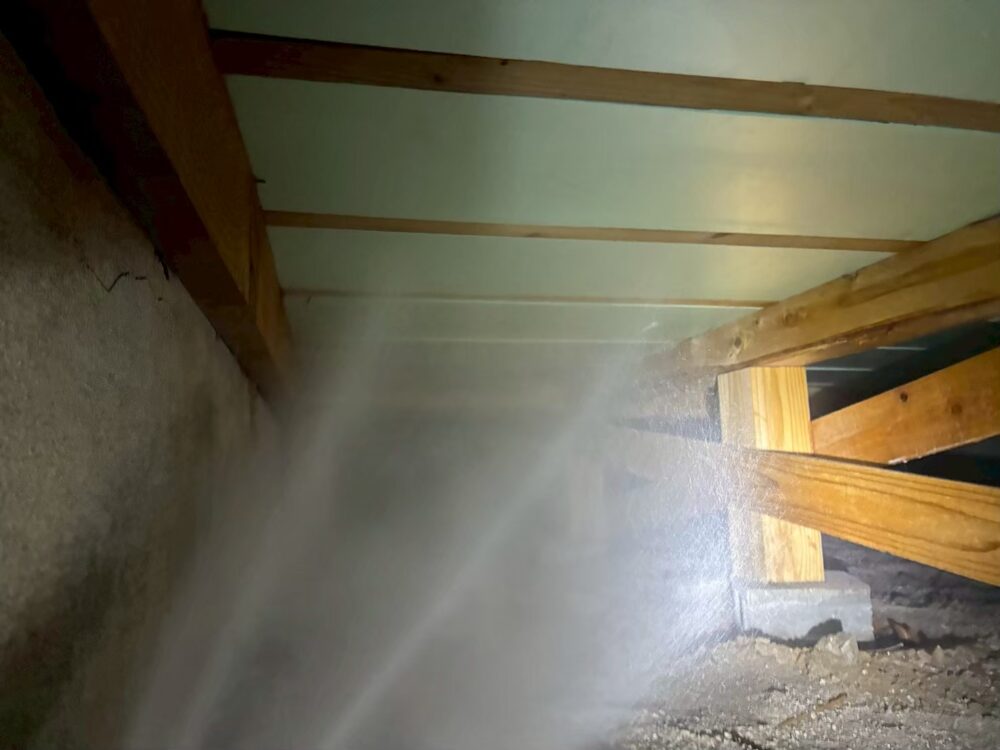 福岡県豊前市　シロアリ(白蟻）による被害　E様邸　駆除実績