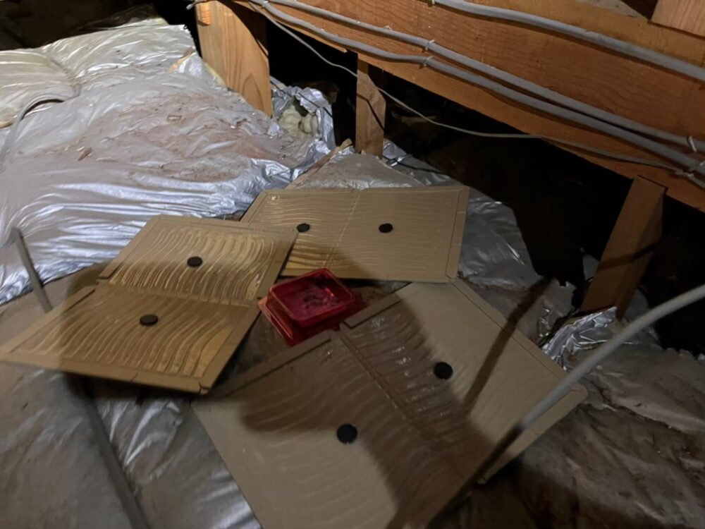 ネズミによる被害　K様邸　駆除実績