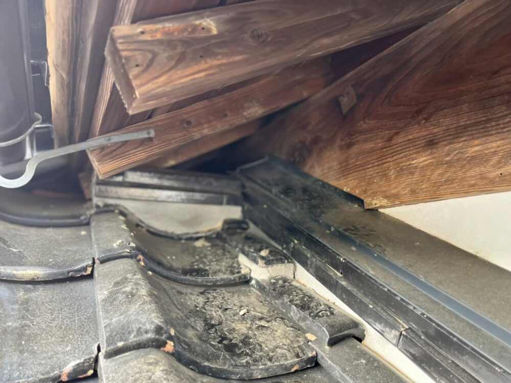 福岡市飯塚市　アライグマによる被害　S様邸　駆除実績