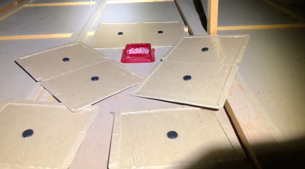 福岡県大牟田市　ネズミによる被害　N様邸　駆除実績