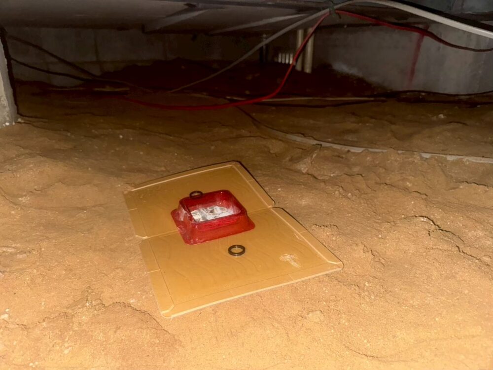 佐賀県多久市　ネズミによる被害　T様邸　駆除実績