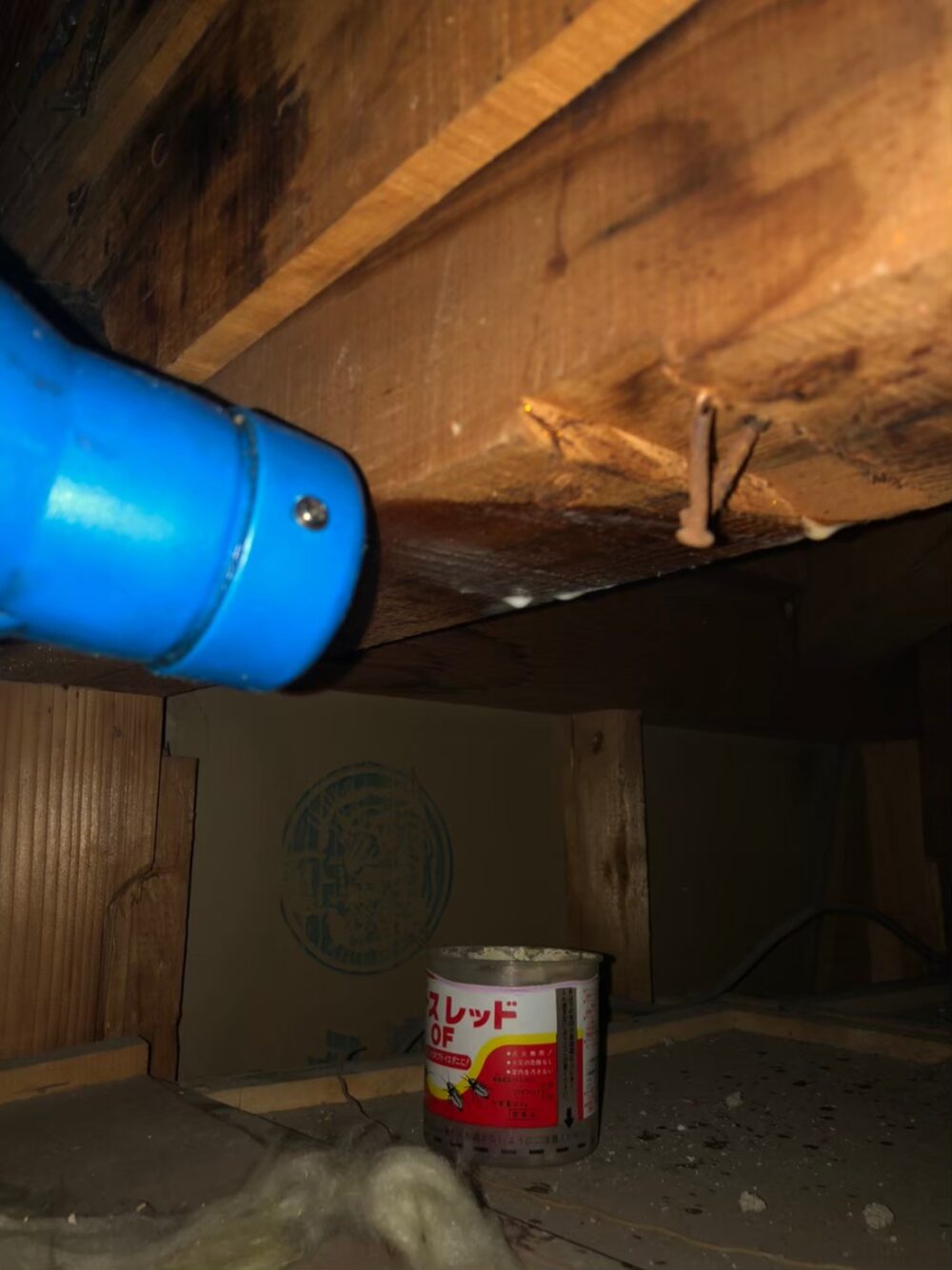 コウモリによる被害　S様邸　駆除実績