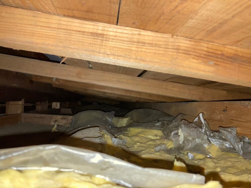 ネズミによる被害　O様邸　駆除実績