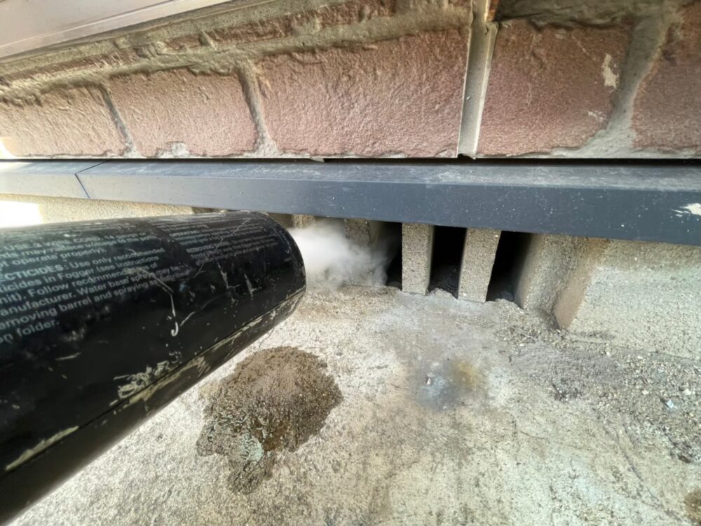 イタチによる被害　D様邸　駆除実績