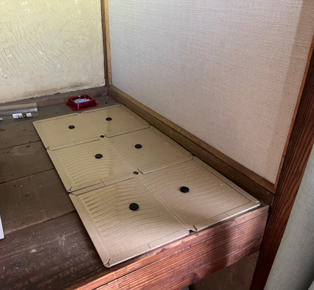 ネズミによる被害　M様邸　駆除実績