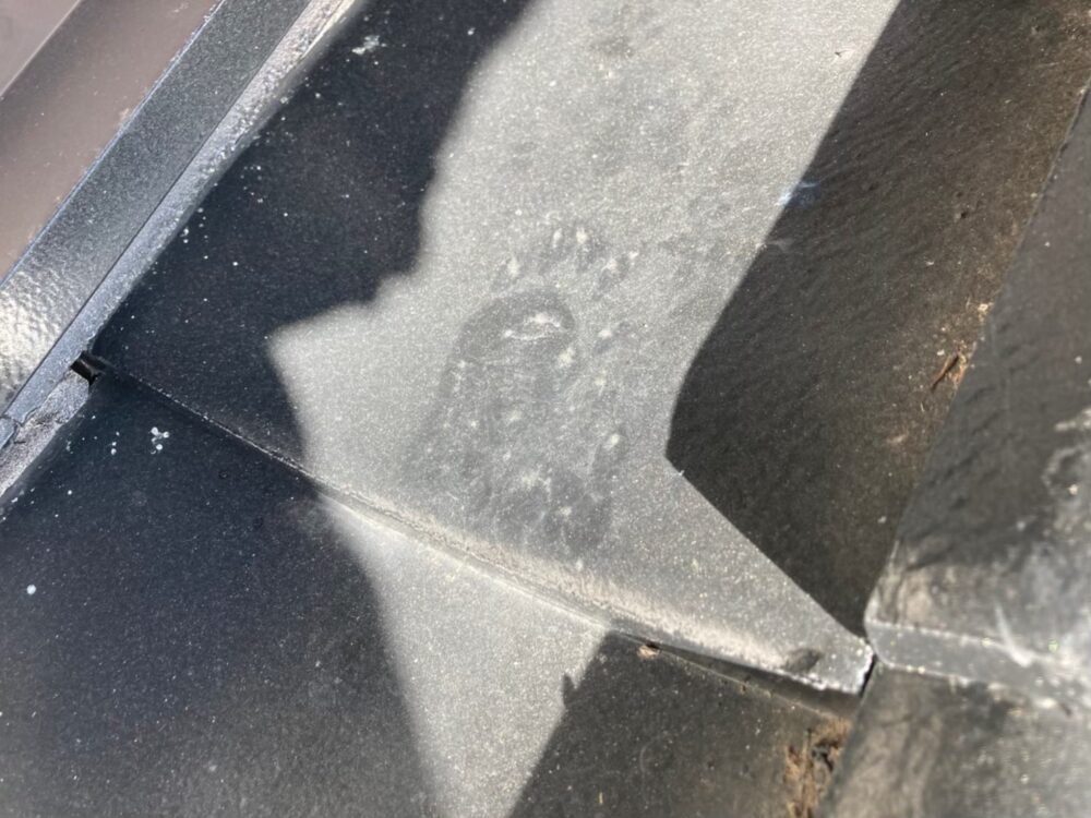 福岡県福岡市　アライグマによる被害　M様邸　駆除実績