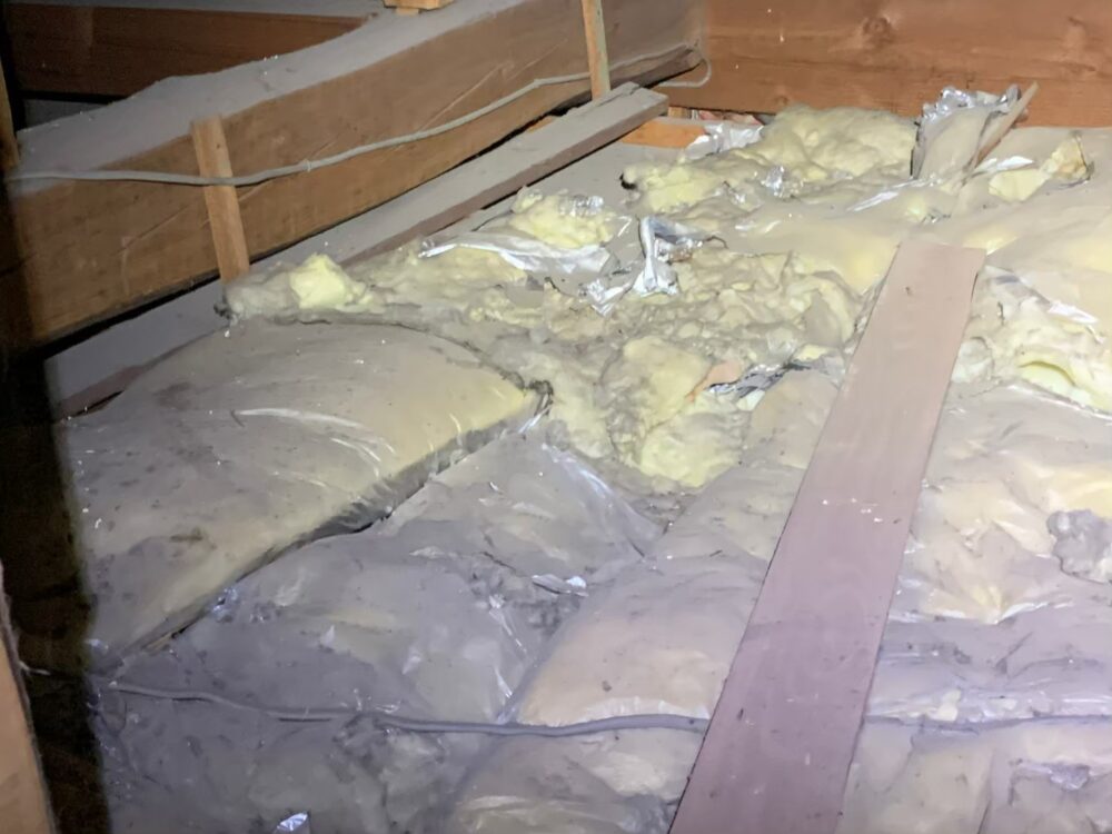 イタチによる被害　O様邸　駆除実績